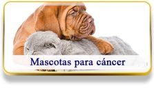 Mascotas para Cáncer