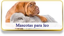 Mascotas para Leo