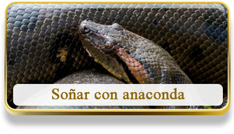 Soñar con anaconda