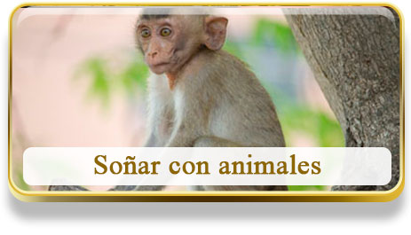 Soñar con animales