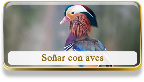 Soñar con aves