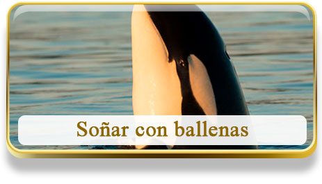 Soñar con ballenas