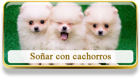 Soñar con cachorros