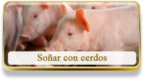 Soñar con cerdos