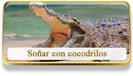 Soñar con cocodrilos