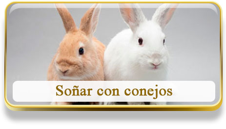 Soñar con conejos