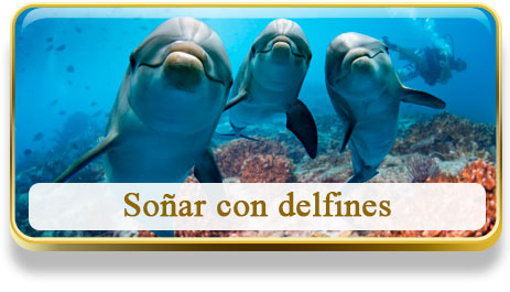 Soñar con delfines