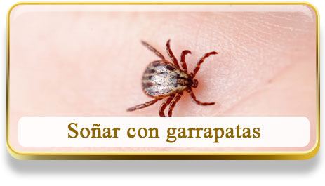 Soñar con garrapatas