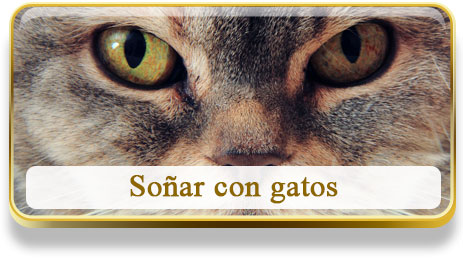 Soñar con gatos