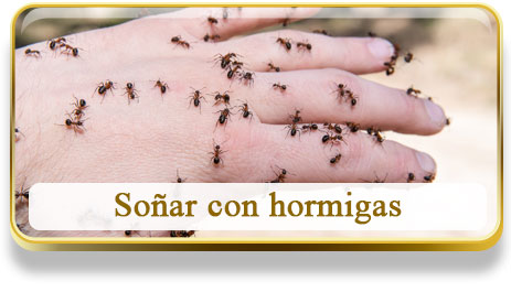 Soñar con hormigas