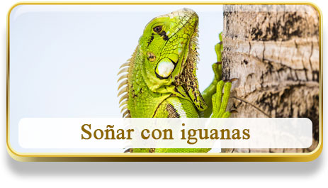Soñar con iguanas