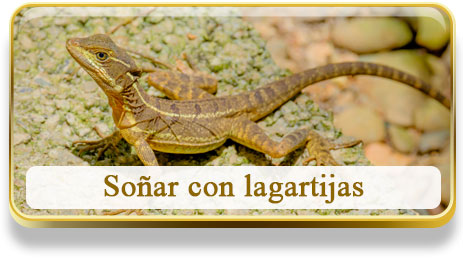 Soñar con lagartijas