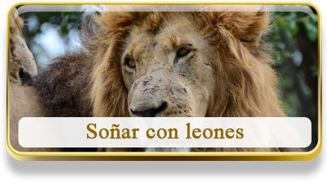 Soñar con leones