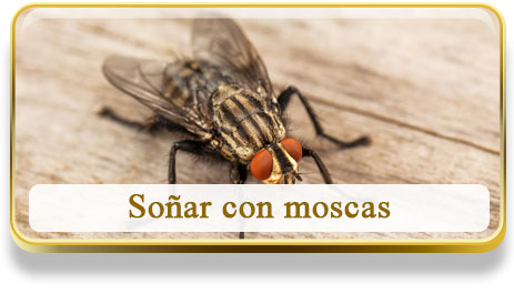 Soñar con moscas