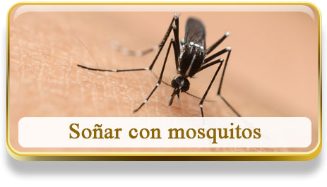 Soñar con mosquitos