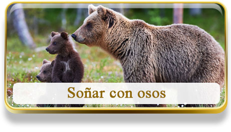 Soñar con osos