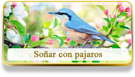 Soñar con pajaros