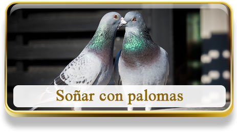 Soñar con palomas