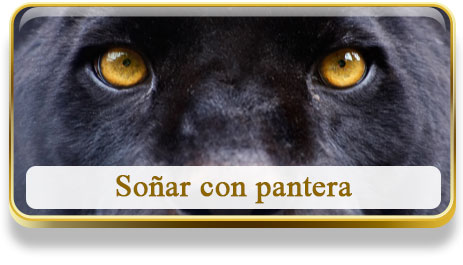 Soñar con pantera