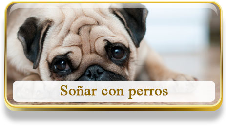 Soñar con perros