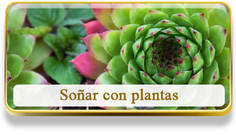 Soñar con plantas