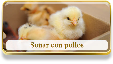 Soñar con pollos