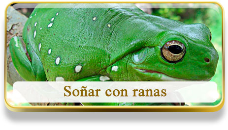 Soñar con ranas