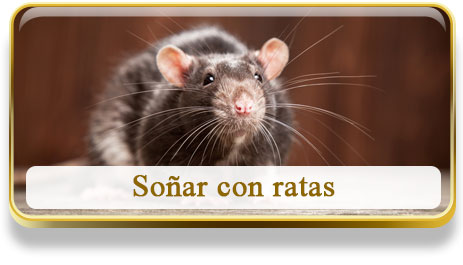 Soñar con ratas