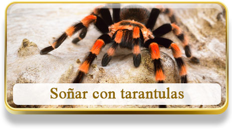Soñar con tarantulas