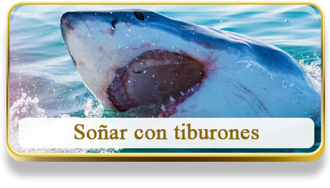 Soñar con tiburones