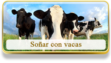 Soñar con vacas